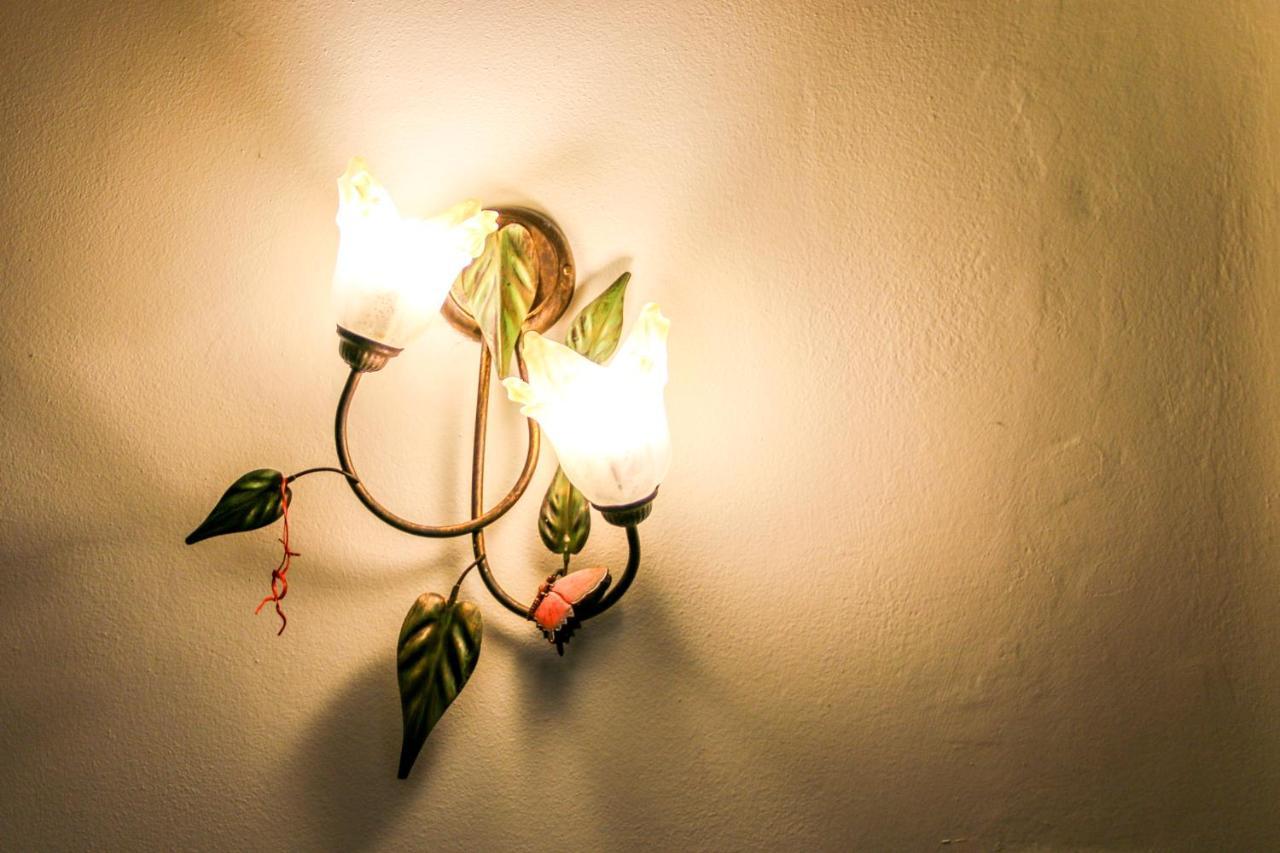 Country House La Fattoria Di Paolo Treia エクステリア 写真