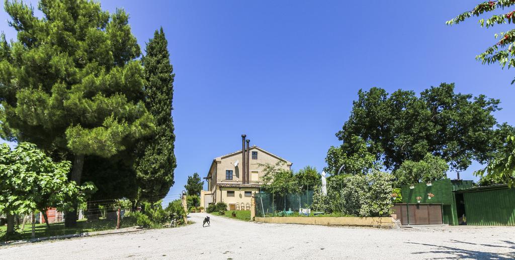 Country House La Fattoria Di Paolo Treia エクステリア 写真